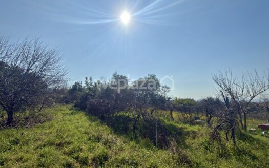 Terreno in vendita
