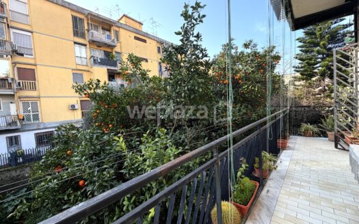 Trilocale con terrazzo e giardino.