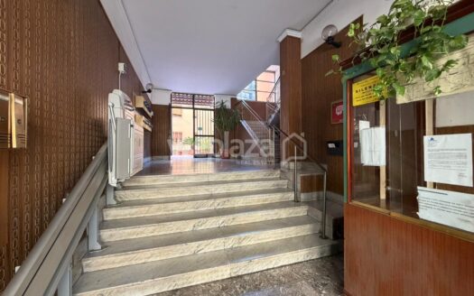 Trilocale in Affitto