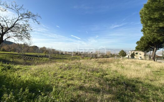 Terreno in vendita
