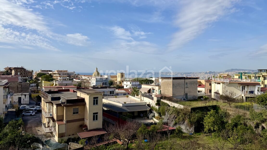 Immagine video