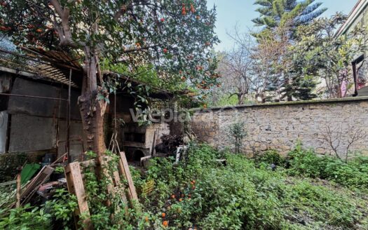 Trilocale con terrazzo e giardino.