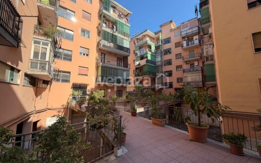 Trilocale in Affitto