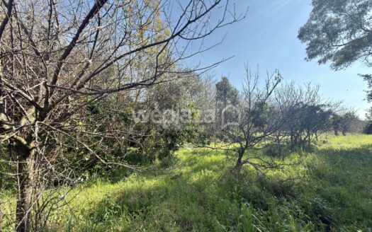 Terreno in vendita