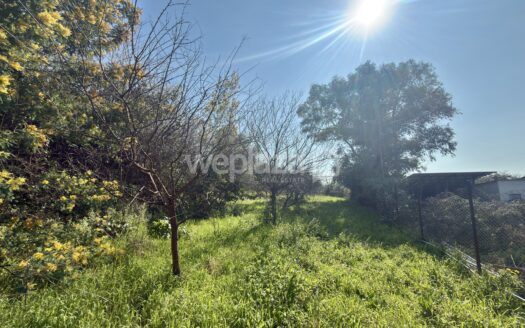 Terreno in vendita