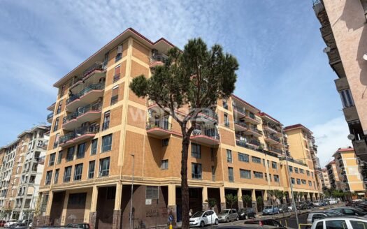 Bilocale in affitto