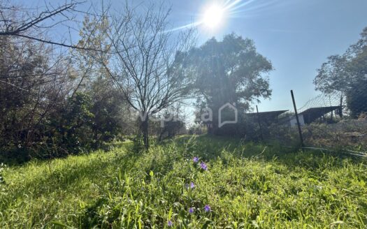 Terreno in vendita