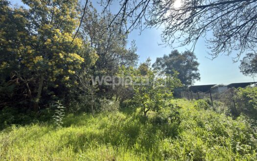 Terreno in vendita