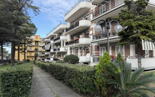 Trilocale in vedita