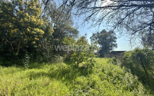 Terreno in vendita