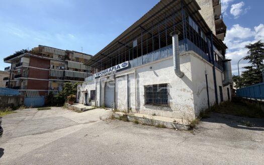 Capannone in affitto