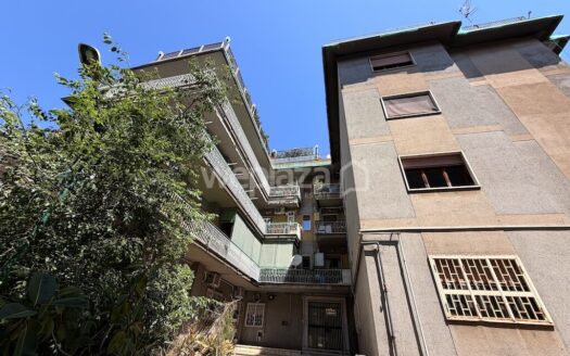 Ampio appartamento con terrazzo