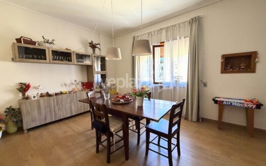 Ampio appartamento con terrazzo