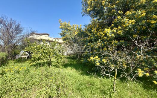 Terreno in vendita