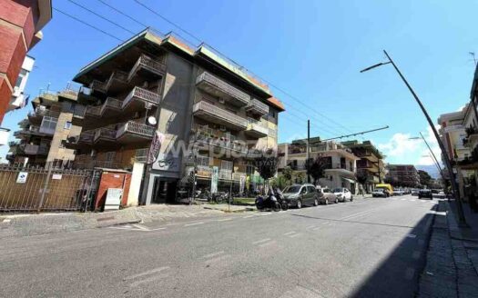 Ampio appartamento con terrazzo