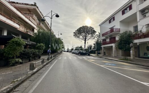 Cedesi attività
