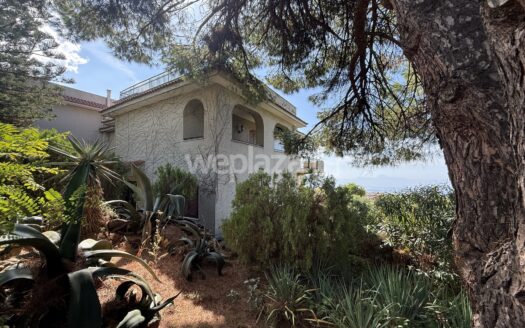 Villa in vendita