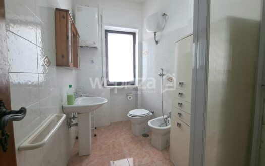 Camere in affitto