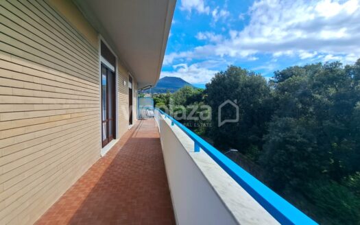 Camere in affitto