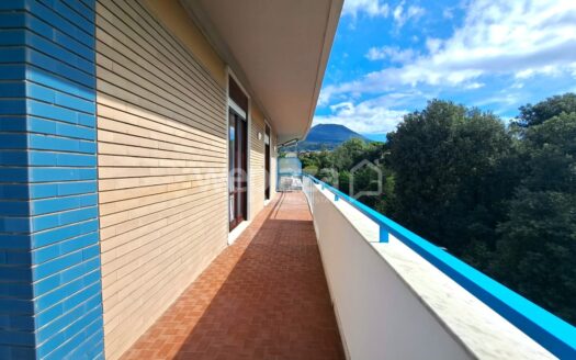 Camere in affitto